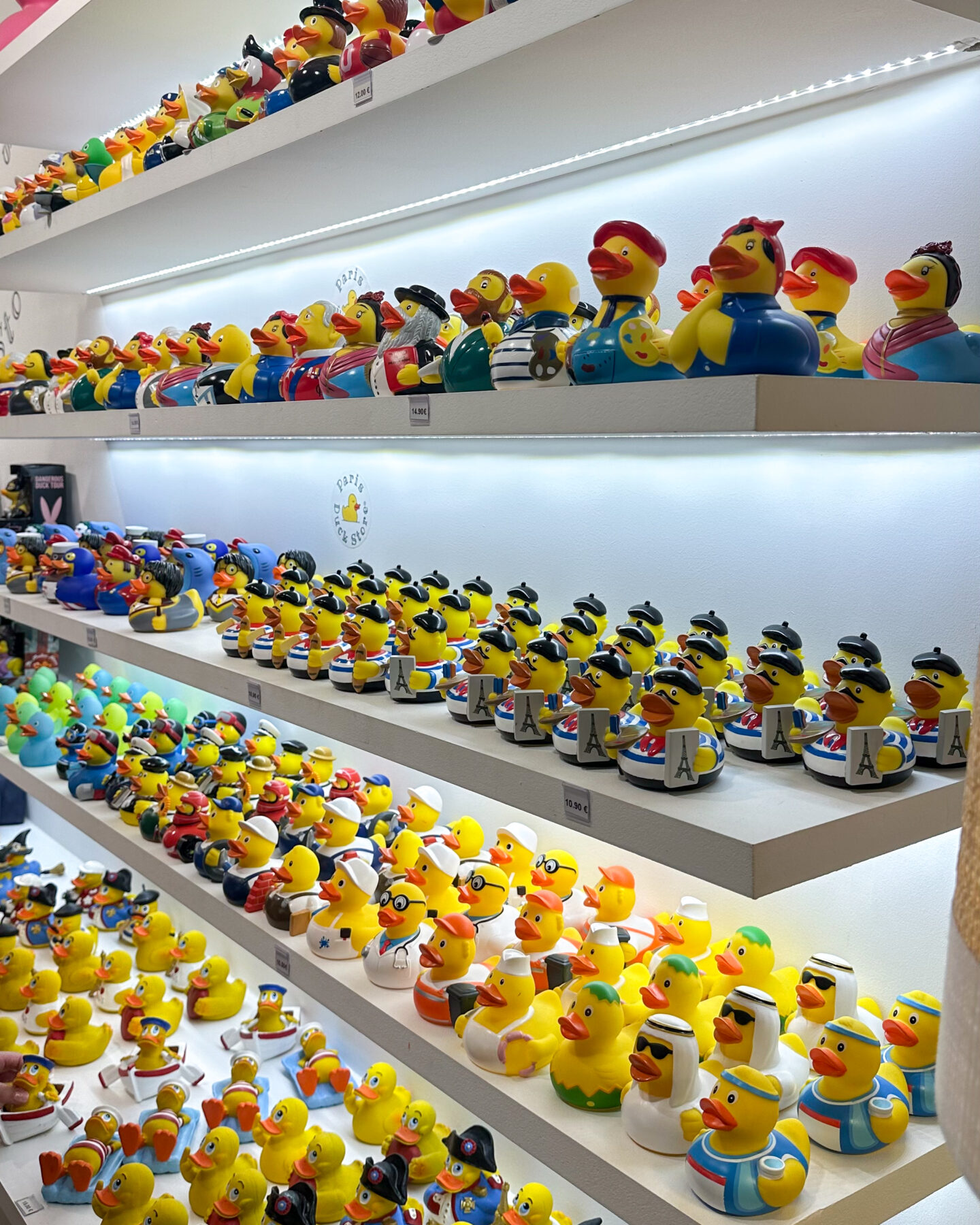 Duck Store Louvre Paris souvenir shop travel experience